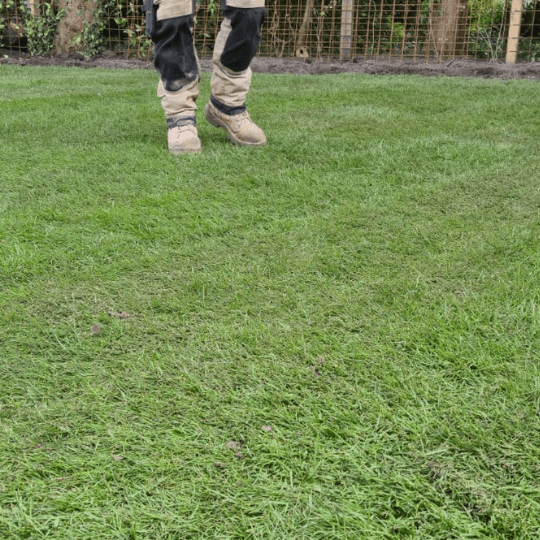 Groen en Geregeld Gras Premium