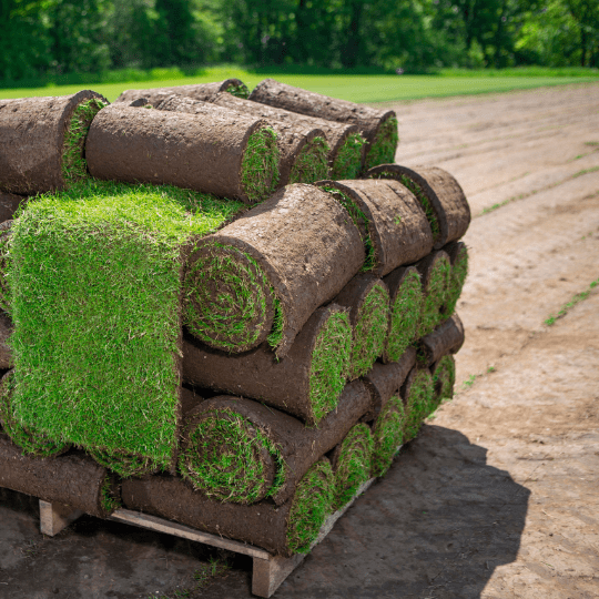 Groen en Geregeld Gras rollen
