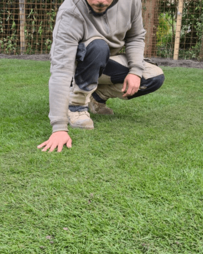 Graszoden & zaden Groen en Geregeld