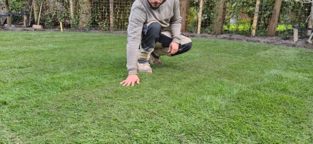 Groen en Geregeld Gazon gras leggen