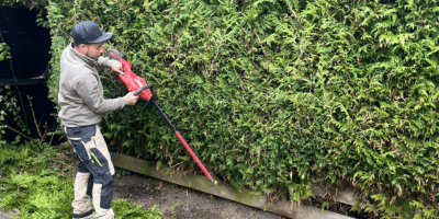 Tuinonderhoud 2 Groen en Geregeld