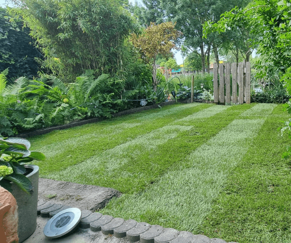 Groene tuin Groen en Geregeld