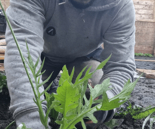Tuinonderhoud Groen en Geregeld