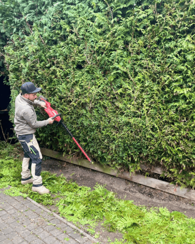 Tuinonderhoud Groen en Geregeld