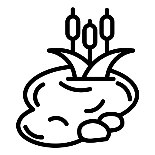 Vijver Icoon